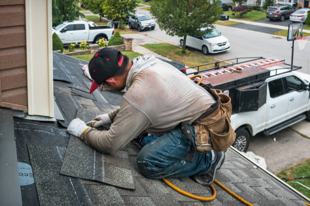 Professional Roof Replacement technician working in Burnt Ranch, CA